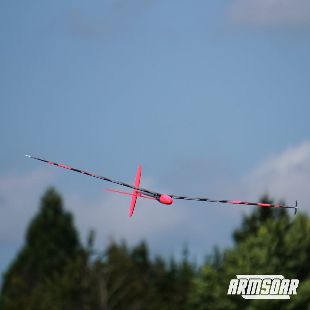 Deviant 1m one-piece wing DLG