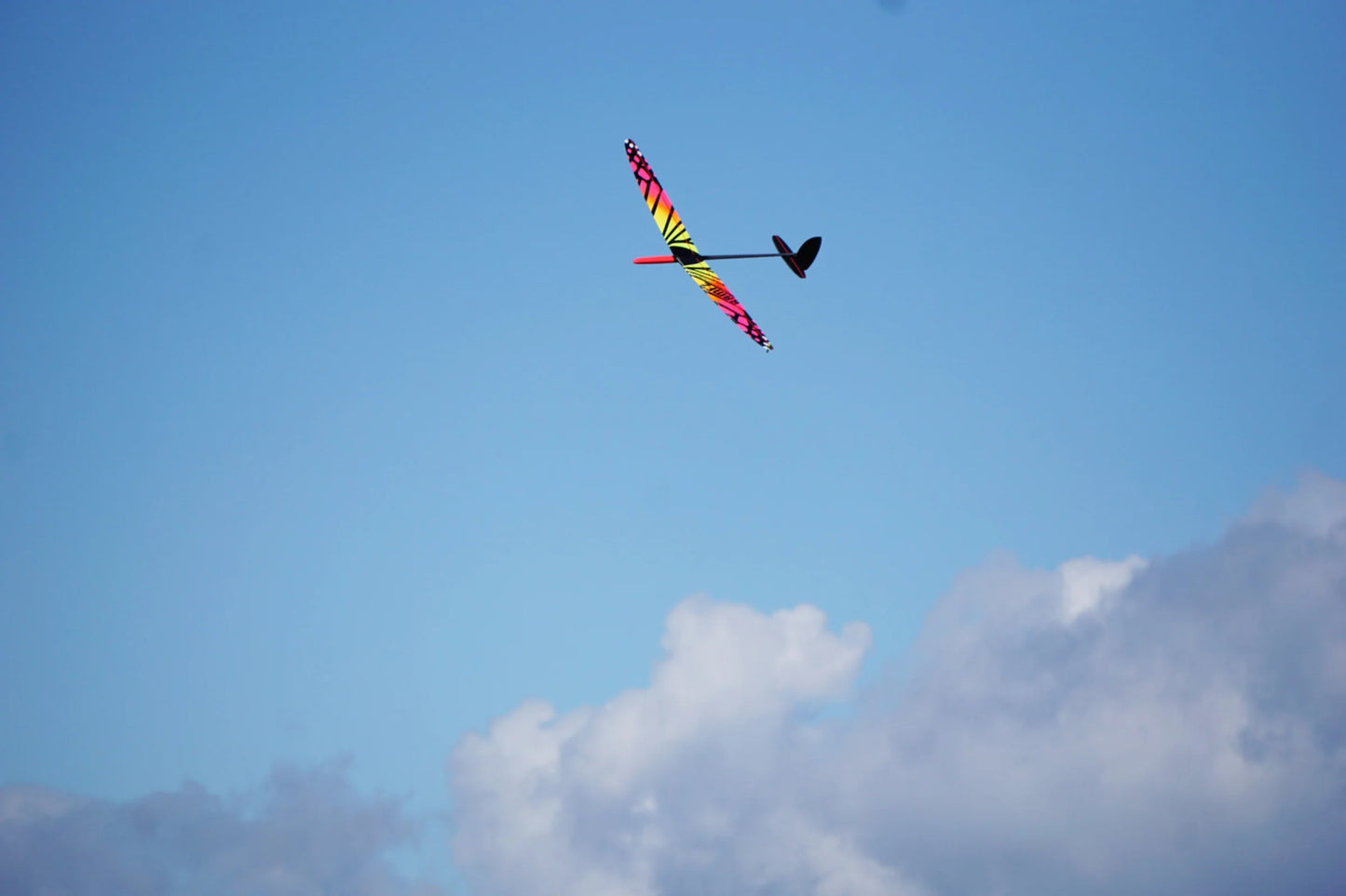 Bamf 2 1.5m two-piece wing DLG